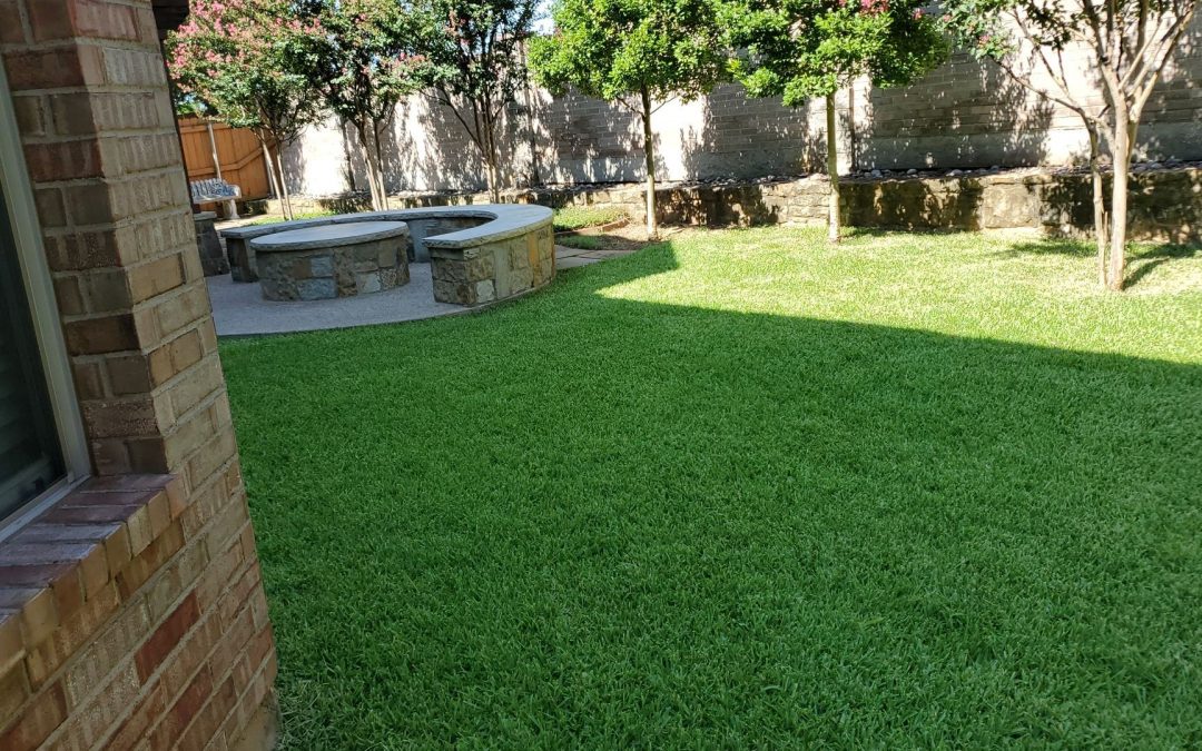 Lawn Fertilization: Boost Your Yard with Professional Care