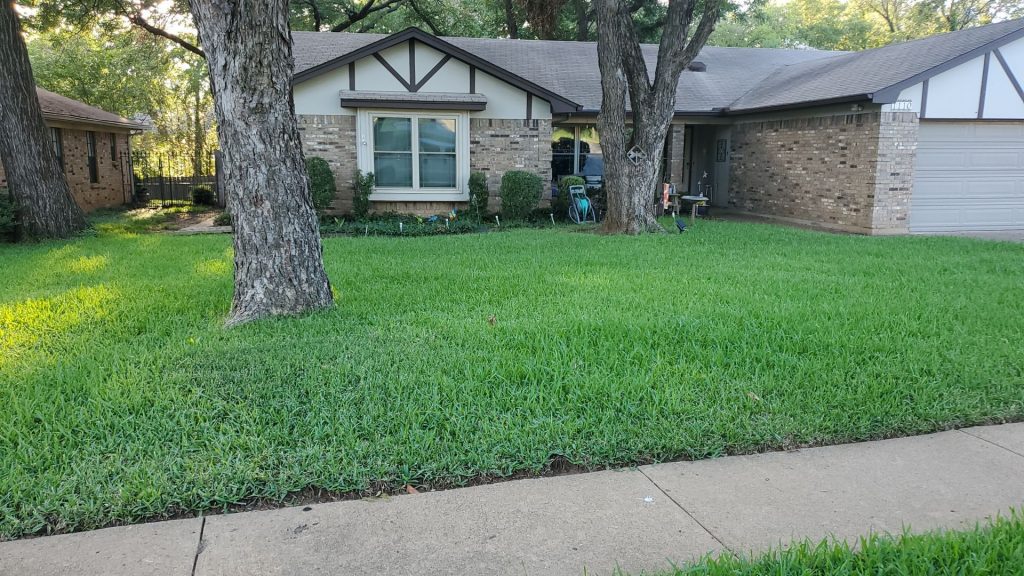 Professional lawn care specialist applying weed control treatment to a vibrant, green lawn for a picture-perfect yard.